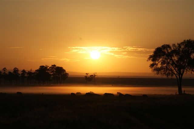 Sunrise over the Marsh